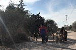 In Misión de Chichimecas, where most Chichimec speakers live, the sound of braying donkeys, bleating goats and crowing cockrels are all part of the atmosphere.