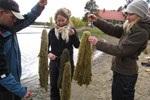 The Skolt Saami are particularly apt at making use of natural resources in traditional arts and crafts and events are organised throughout the year to keep these traditions alive. One such event was a session to learn about traditional wool-dying techniques. Here, members of the community are seen removing the birch leaves that were used to dye this wool green.