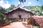 Traditional  buildings in Mian - like this dancehouse - are built to be elevated above the ground and have rooves and wall panels made of dried, organic matter.