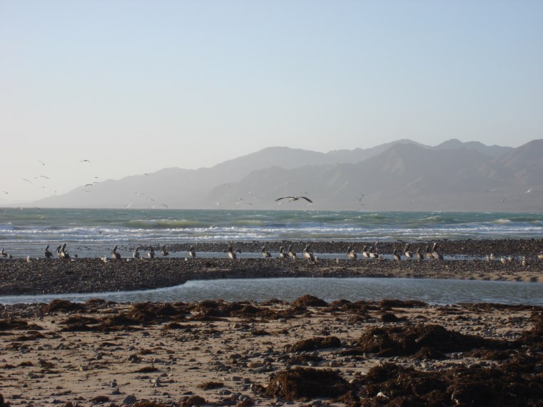 The shore of the Gulf of California, Mexico