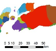 Alor-Pantar languages: Origins and theoretical impact