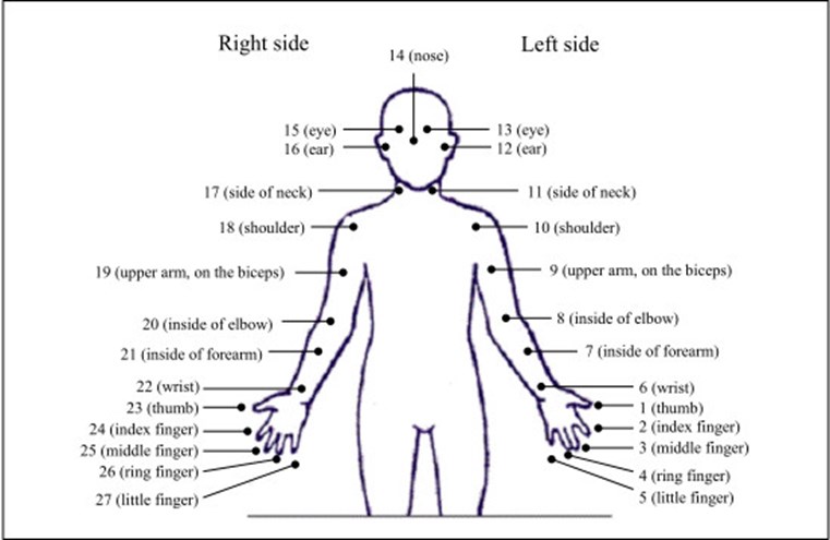 Body part tally system