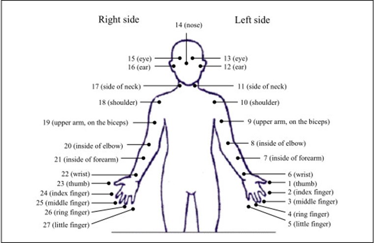Body part tally system