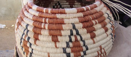 Seri verbs: multiple complexities