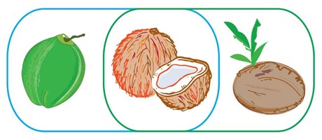 Optimal categorisation