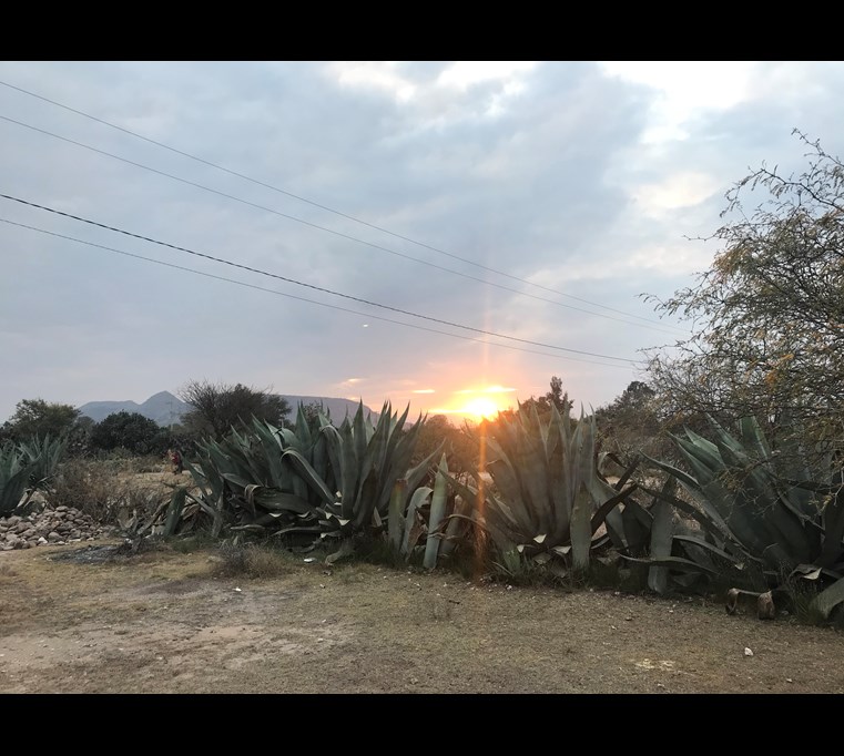 Sunset over Misión de Chichimecas