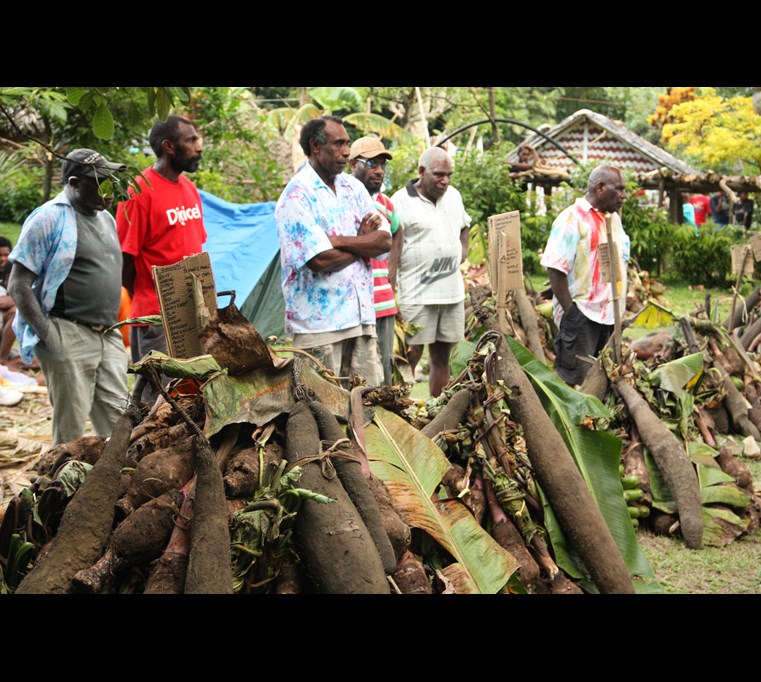 Exchanging yams at a wedding in northern Ambrym, where North Ambrym language is spoken (© M. Franjieh 2011)