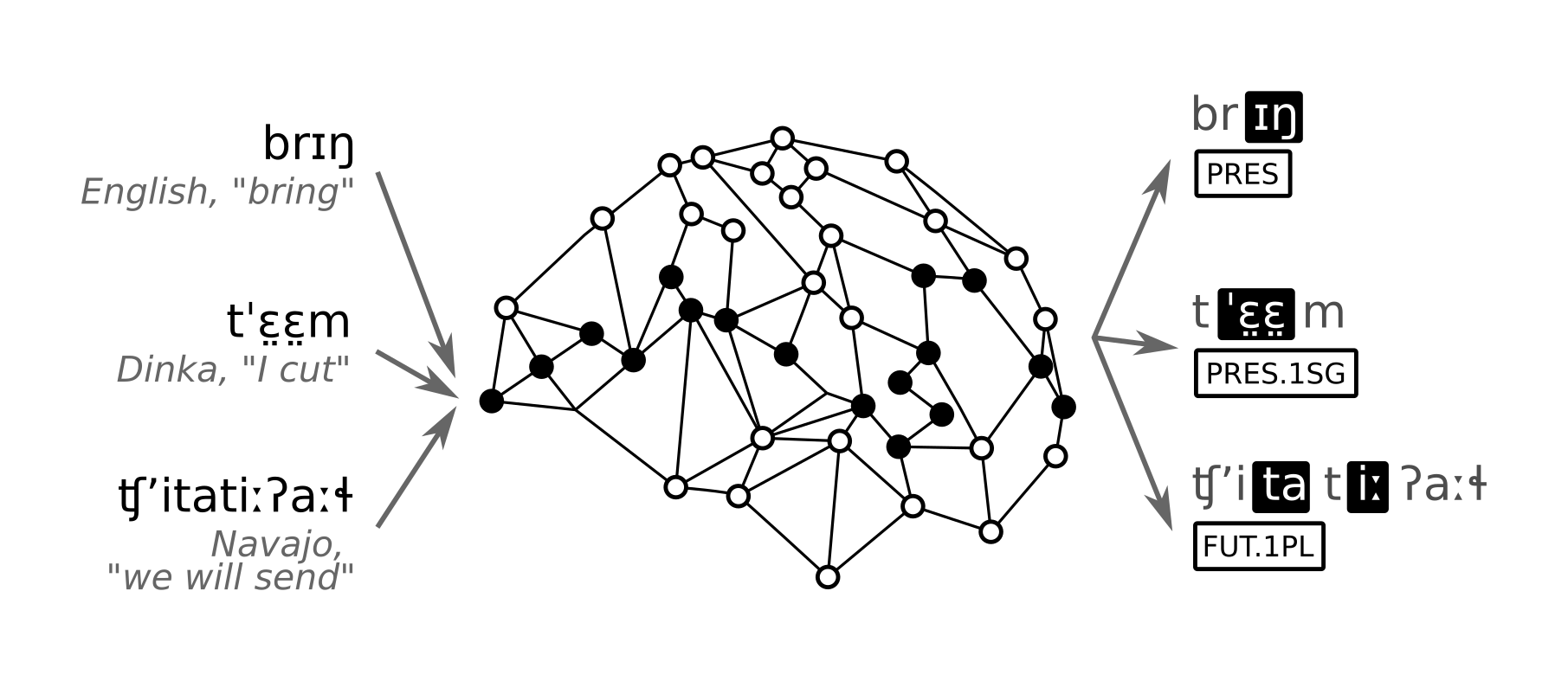 What Is Understood ? Simulating Human-Scale Word Comprehension Using AI