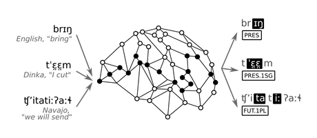 What Is Understood ? Simulating Human-Scale Word Comprehension Using AI