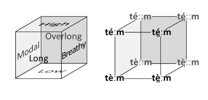 NILOMORPH: The evolution of suprasegmental morphology in West Nilotic