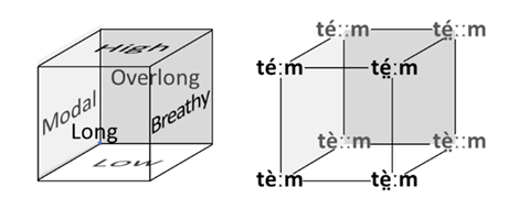 NILOMORPH: The evolution of suprasegmental morphology in West Nilotic