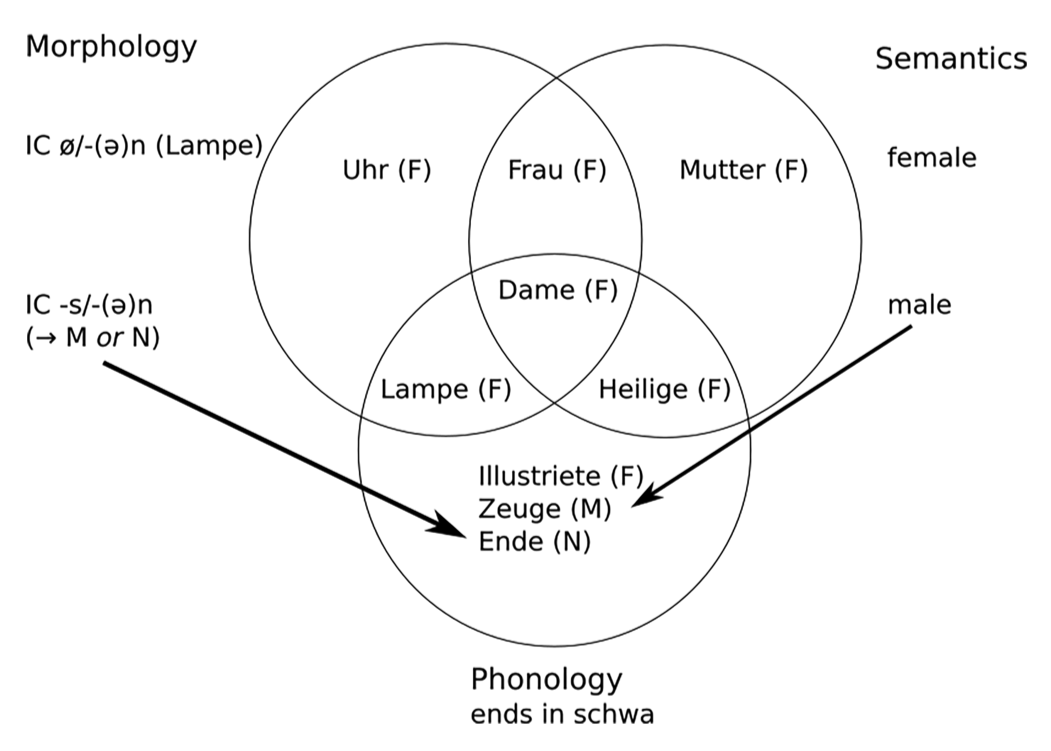German gender Language paper