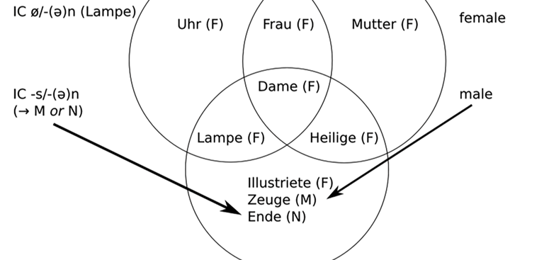 German gender Language paper