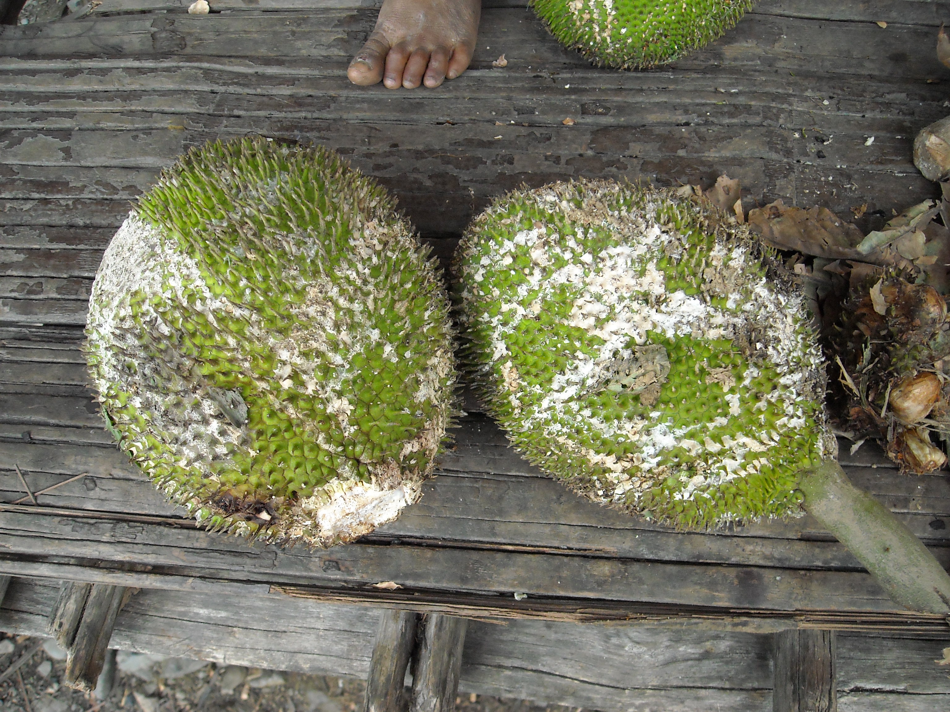 Optimal categorisation