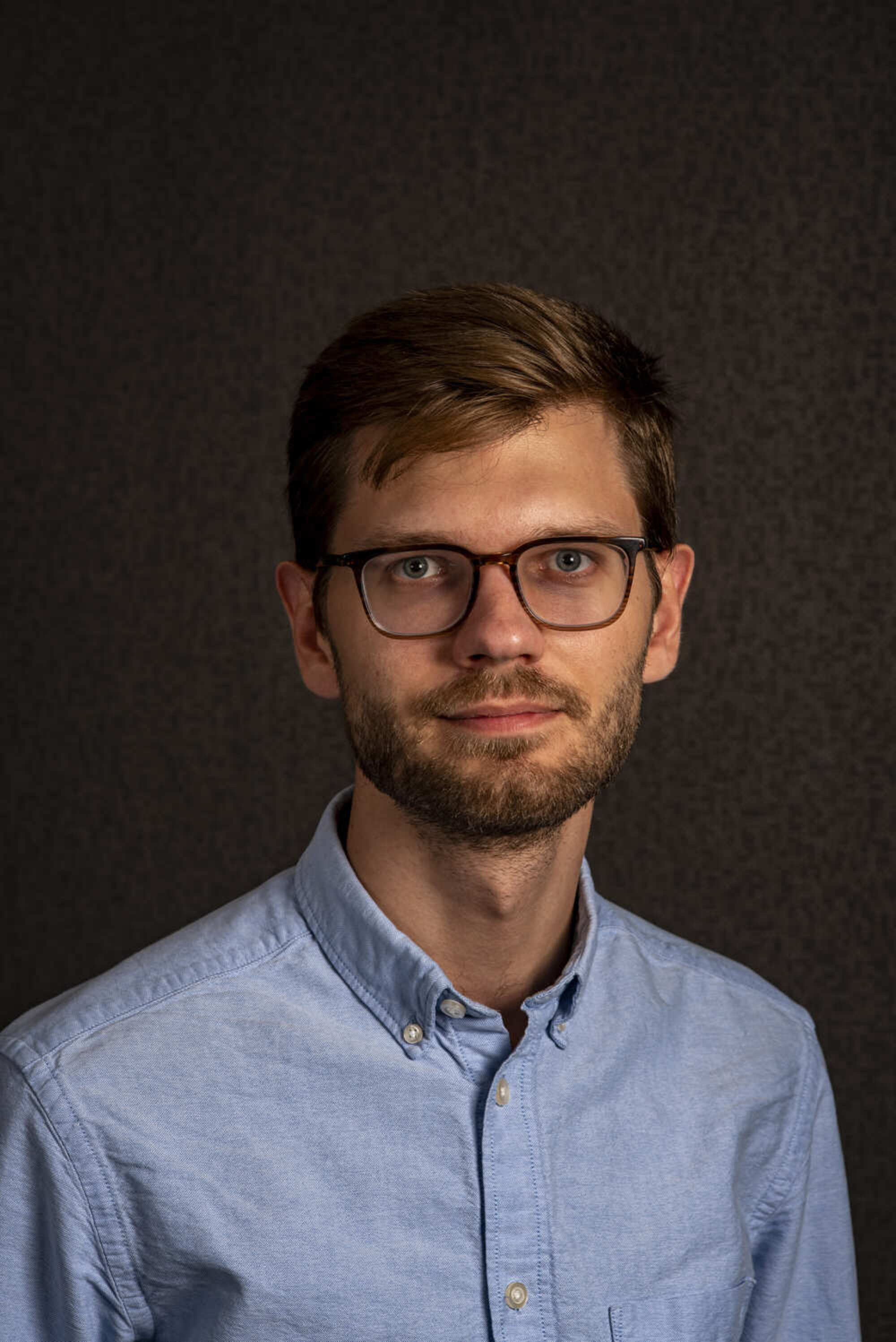 Semantics drives analogical change in Germanic strong verb paradigms: A phylogenetic study