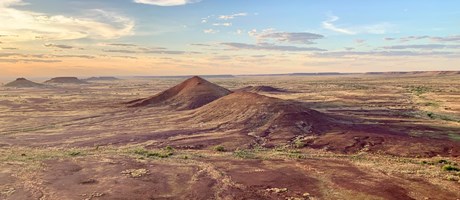 DesertFlux: Language evolution and change in a small-scale multilingual desert community